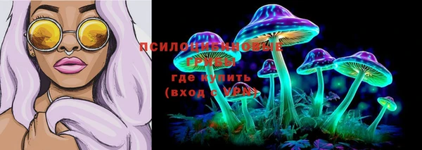 шишки Баксан