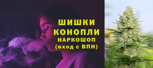 шишки Баксан