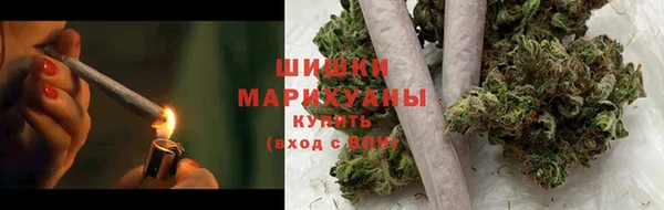 шишки Баксан